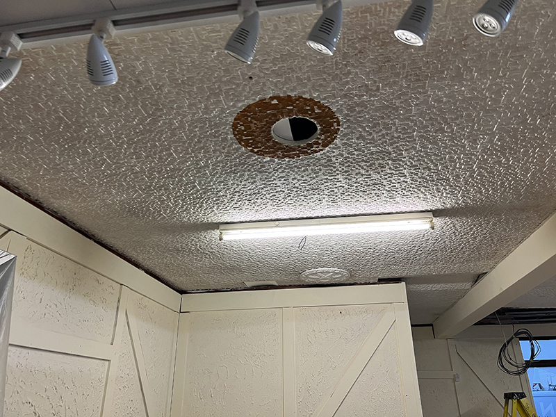 Prep for removing ceiling